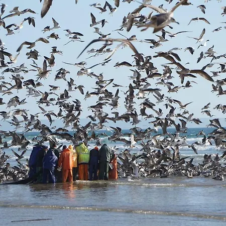 アパート Belavista Mar E Sol - Caparica