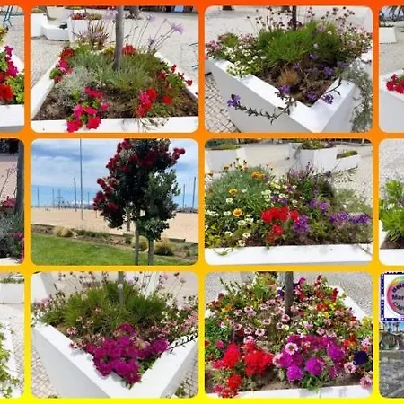 Belavista Mar E Sol - Caparica アパート *